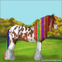 Horse Color:Painted Bay Sabino Tobiano Appaloosa 