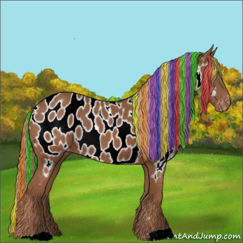 Horse Color:Painted Chestnut Appaloosa