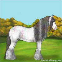 Horse Color:Nacre White Spotted Brown Ice Sabino Appaloosa