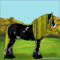Horse Color:Painted Black Ice Sabino Appaloosa
