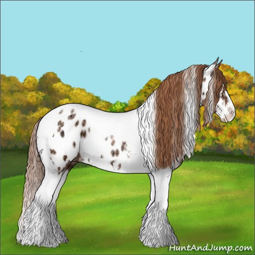 Horse Color:Chocolate Bay Ice Pearl Sabino Splash Tobiano Appaloosa 