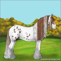 Horse Color:Chocolate Bay Ice Pearl Sabino Splash Tobiano Appaloosa 
