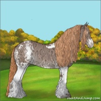 Horse Color:White Spotted Chestnut Ice Tobiano 