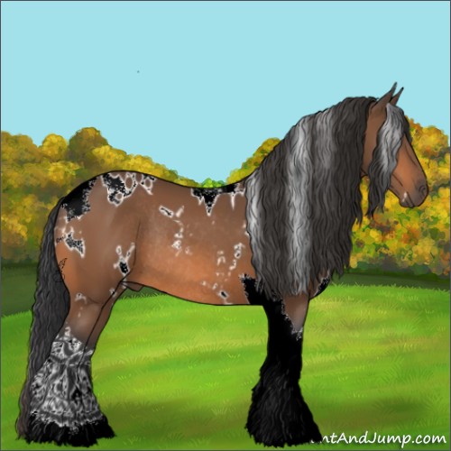 Horse Color:White Spotted Bay Tobiano Rabicano 