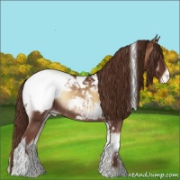 Horse Color:Red Onyx Tobiano Appaloosa Rabicano