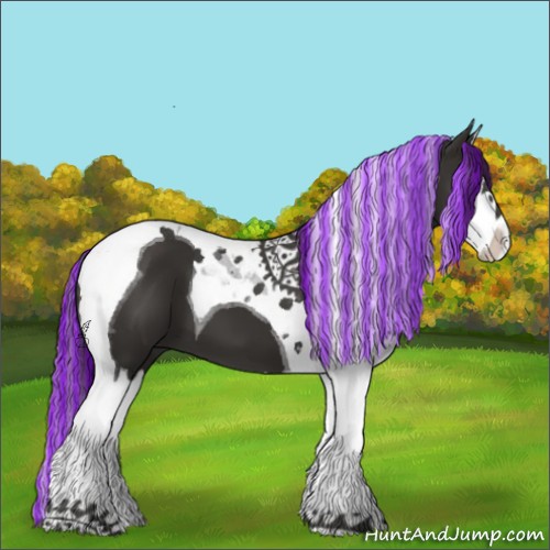 Horse Color:Painted Liver Chestnut Splash Tobiano 