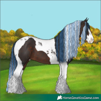 Horse Color:Painted Bay Splash Tobiano 