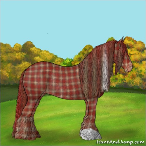 Horse Color:Plaid Liver Chestnut Varnish Rabicano