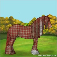 Horse Color:Plaid  Liver Chestnut Varnish Rabicano 
