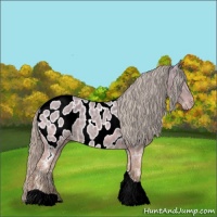 Horse Color:Silver Black Ice Tobiano Near Leopard