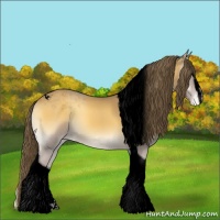 Horse Color:Void Buckskin Onyx Sabino Tobiano Varnish 