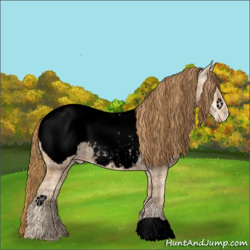 Horse Color:Void Plaid  Bay Ice Pearl Appaloosa Rabicano 