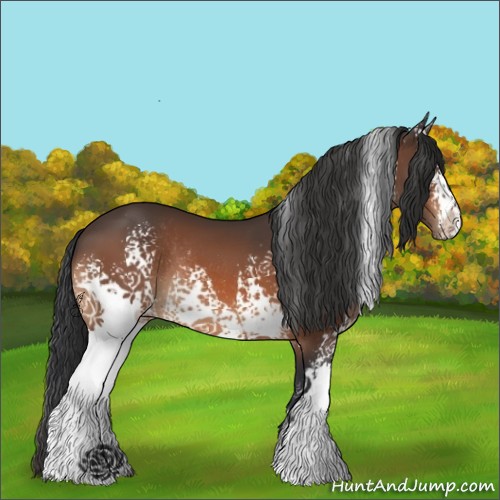 Horse Color:White Spotted Bay Varnish Rabicano