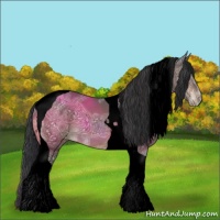 Horse Color:Void Brown Ice Tobiano Appaloosa 