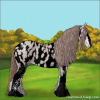 Horse Color:Void Platinum White Spotted Chestnut Ice Near Leopard 