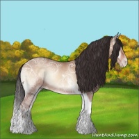 Horse Color:Sable Champagne Ice Onyx Tobiano 