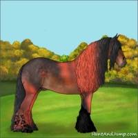 Horse Color:Void Brown Sabino Tobiano 