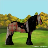 Horse Color:Void Plaid  White Spotted Chocolate Palomino Tobiano 