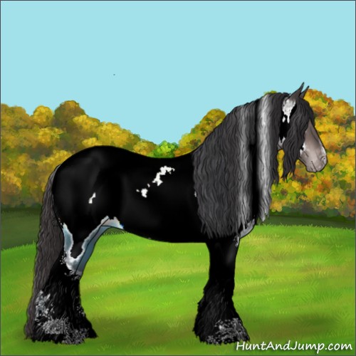 Horse Color:Platinum Buckskin Tobiano Near Fewspot