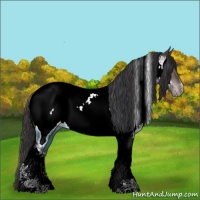 Horse Color:Platinum Buckskin Tobiano Near Fewspot 