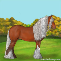 Horse Color:Silver Bay Sabino Tobiano Rabicano 