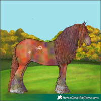 Horse Color:Nacre Chestnut Tobiano 