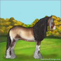 Horse Color:White Spotted Liver Red Onyx Splash Tobiano Varnish 