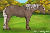 Horse Color:Silver Black 