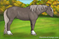 Horse Color:Silver Black 
