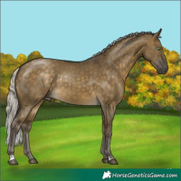 Horse Color:Silver Buckskin Dun 
