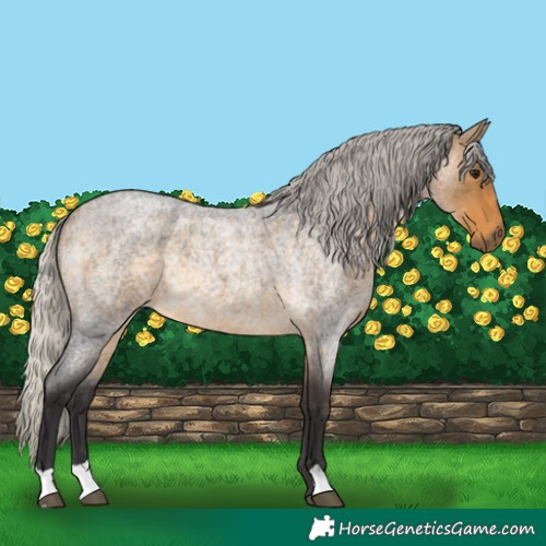 Horse Color:Silver Buckskin Roan 
