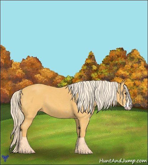 Horse Color:Palomino Sabino Rabicano 