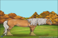 Horse Color:Silver Buckskin 