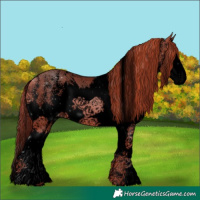 Horse Color:Void Gold Champagne Sabino Splash