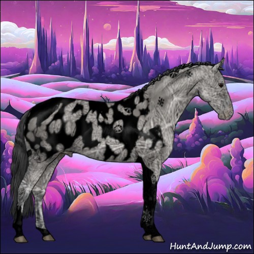 Horse Color:Void Grullo Ice Tobiano Appaloosa 
