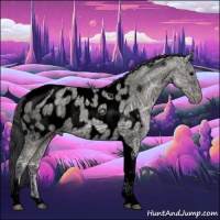 Horse Color:Void Grullo Ice Tobiano Near Leopard 