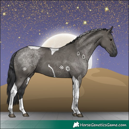 Horse Color:Grullo Tobiano 
