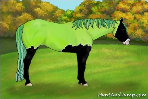 Horse Color:Painted Watercolor Liver Chestnut Splash Appaloosa 