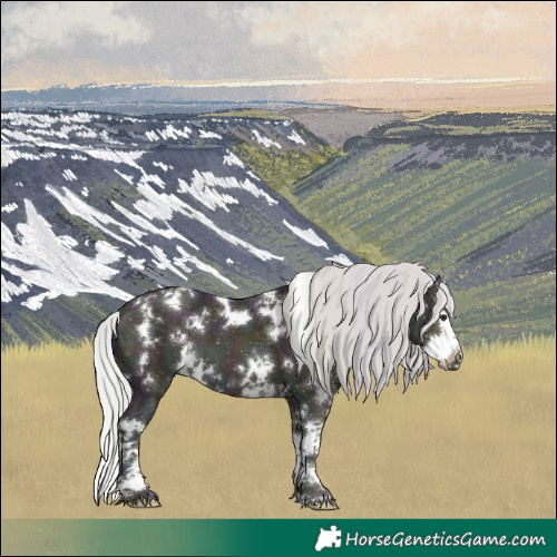 Horse Color:Watercolor White Spotted Midnight Silver Bay Ice Dun Splash
