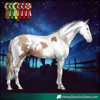 Horse Color:White Spotted Black Pearl and Chocolate Silver Black Sabino