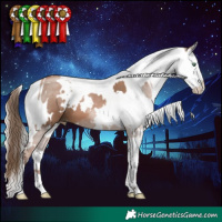Horse Color:White Spotted Black Pearl and Chocolate Silver Black Sabino