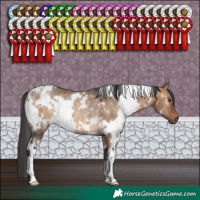 Horse Color:White Spotted Brown Dun Rabicano 