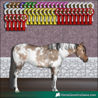 Horse Color:White Spotted Brown Dun Rabicano 