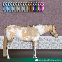 Horse Color:White Spotted Buckskin Varnish 