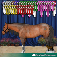 Horse Color:Brown Rabicano 