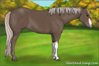 Horse Color:Silver Black 