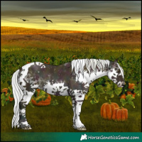Horse Color:Watercolor Midnight Silver Bay Dun Sabino Splash Tobiano 