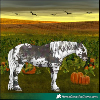 Horse Color:Watercolor Midnight Silver Bay Dun Sabino Splash Tobiano 