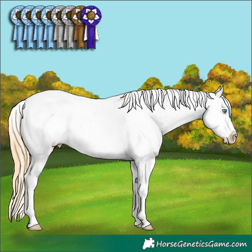 Horse Color:Gold Champagne Ice Roan Pearl Tobiano Varnish 