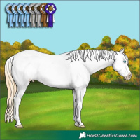 Horse Color:Gold Champagne Ice Roan Pearl Tobiano Varnish 